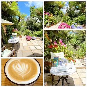 Funky Urban Jungle Bed & Breakfast